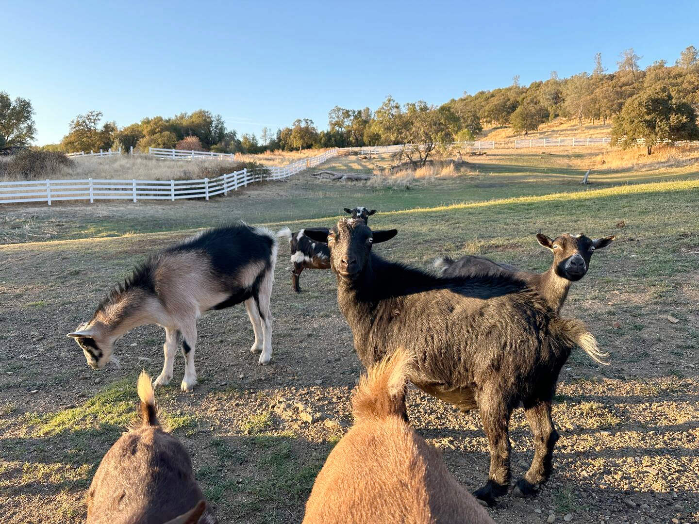 Group yoga session